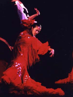 Photo：中島朋子