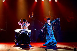 小松原庸子スペイン舞踊団 第50回野外フェスティバル「2021 真夏の夜のフラメンコ」終了報告